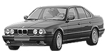 BMW E34 P199B Fault Code